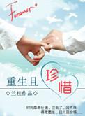 重生且珍惜 作者兰桂