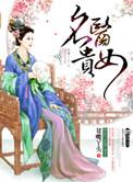 女医明贵妃电视剧