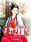 穿越良缘之镇南王妃有声