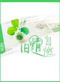 旧情自燃txt
