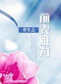 重生之前妻难为by月亮糕全文免费阅读最新章节
