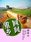 重回乡村