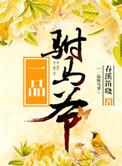 一品驸马爷txt百度