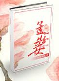 孟家妾大结局是什么