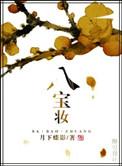 八宝妆txt盘