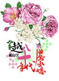 穿越八十年代农家媳作者臧白