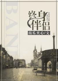 终身伴侣套餐