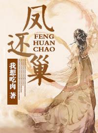 红楼之凤还巢