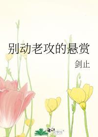 别动老攻的悬赏剧透