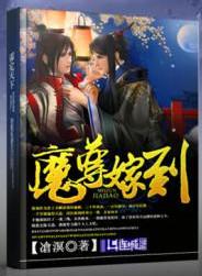 魔尊嫁到凔凕