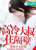 高冷大叔言情