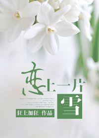 恋上一片雪 作者狂上加狂简介