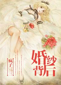 婚纱背后txt