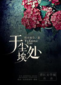 于尘埃处结局是什么