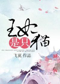 王妃是只猫圆房