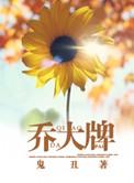 乔大牌免费阅读