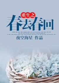 重生之春日载阳全文免费阅读