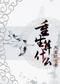 重生算什么结局是什么