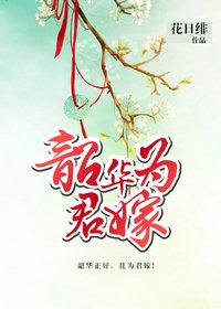 韶华为君嫁2k网