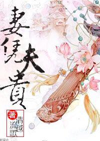 妻凭夫贵全文TXT