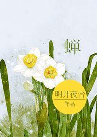 蝉的英文