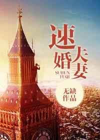速婚夫妻第二部叫什么