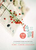 蓝色漆用什么颜色调