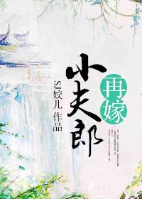 再嫁小夫郎by五朵云