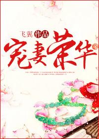 宠妻荣华无广告
