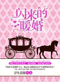 闪来的暖婚结局没写完吧