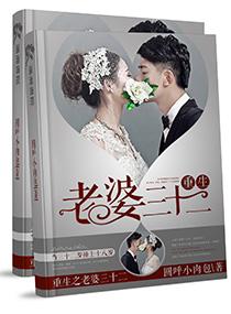 重生之老婆我错了笔趣阁