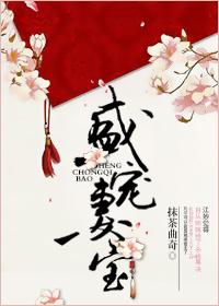 盛宠妻宝by