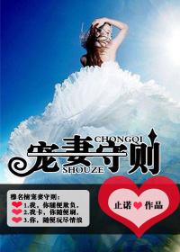 宠妻免费阅读