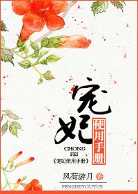 宠妃使用手册微盘