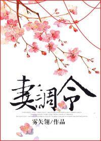 妻调令 txt