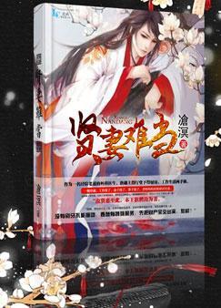 贤妻良母难为全文免费