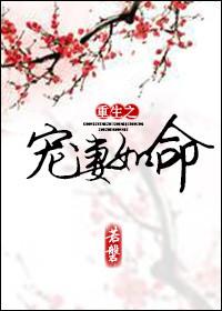 重生之宠妻如命 松间月明