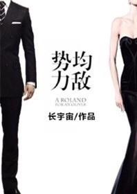 势均力敌完整版