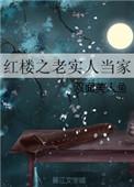 红楼之老实人当家完整版免费阅读