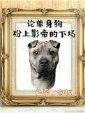 影帝酷爱撒糖晋江