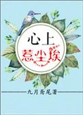 心上惹尘埃爆火短剧