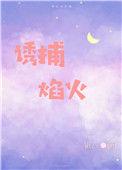 诱捕焰火无弹窗