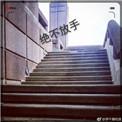 绝不放手百度百科