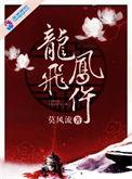 龙飞凤仵莫风流讲的什么