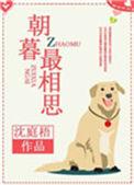 朝暮最相思知乎