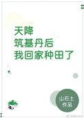 天降筑基丹后我回家种田了山石土256
