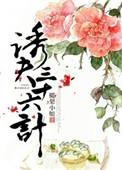 诱夫三十六计作者椰梨小姐