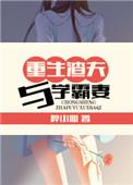 重生渣夫与学霸妻番外