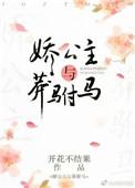 娇公主与莽驸马正版