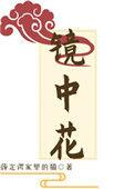 镜中花水中月比喻爱情